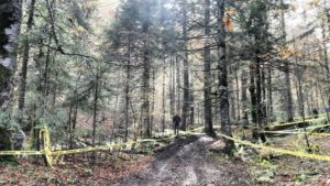 rally zelengora 2016